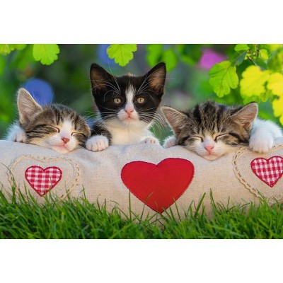 Ravensburger-07801 2 Puzzles - Sieste des Chatons