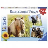  Ravensburger-08011 3 Puzzles - Chevaux