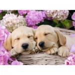 Puzzle  Ravensburger-13235 Chiots Mignons dans un Panier