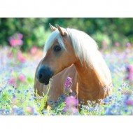 Puzzle  Ravensburger-13294 Pièces XXL - Cheval dans la Prairie