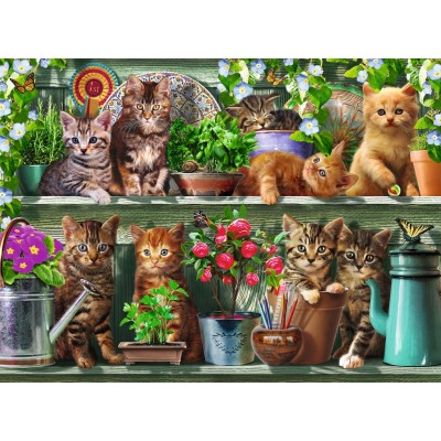 Puzzle Ravensburger-14824 Des chats sur l'Etagère