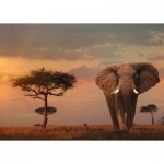 Puzzle  Ravensburger-15159 Nature Edition No 13 - Eléphant dans le Parc National du Masaï Mara