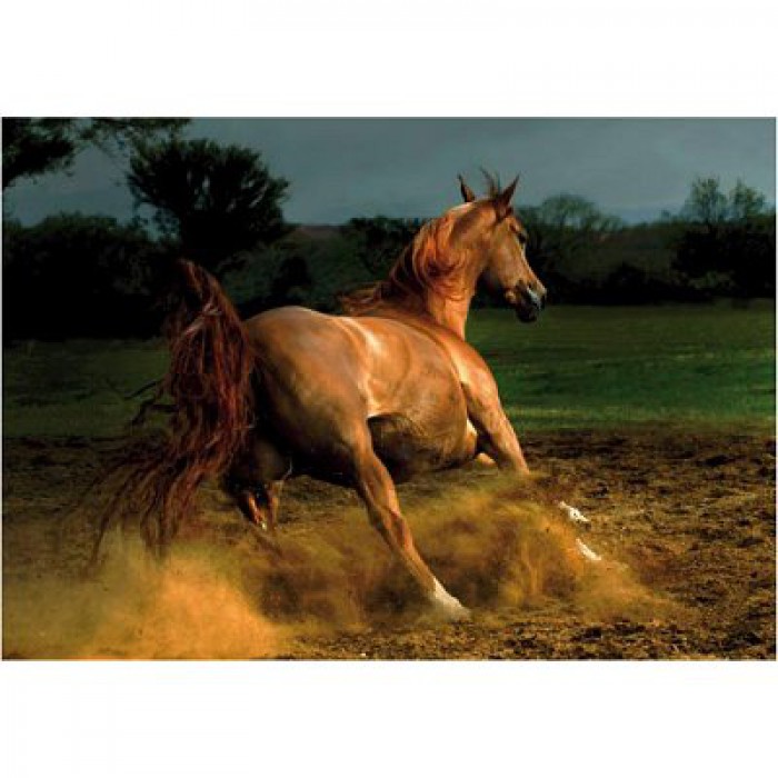 Puzzle DToys-70388 Cheval Chestnut