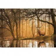 Puzzle  Clementoni-35118 Peace - Rustling Silence
