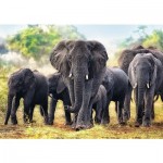Puzzle  Trefl-10442 Éléphants africains