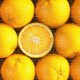 Puzzle en Plastique - Fruits - Orange
