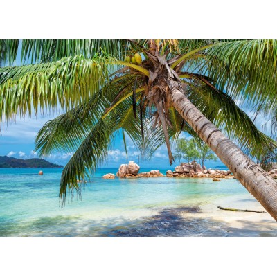 Puzzle Alipson-Puzzle-F-50022 Plage Tropicale