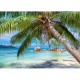 Plage Tropicale