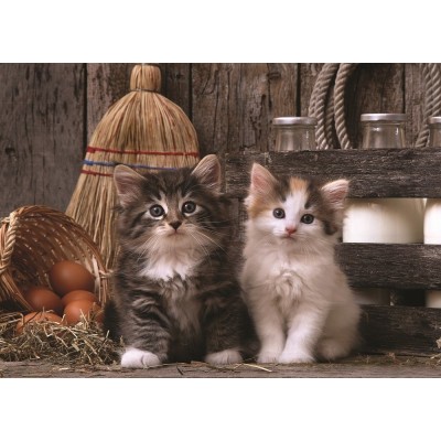Puzzle Art-Puzzle-4515 Chatons
