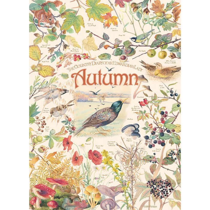 Puzzle  Cobble-Hill-40094 Country Diary - Automne