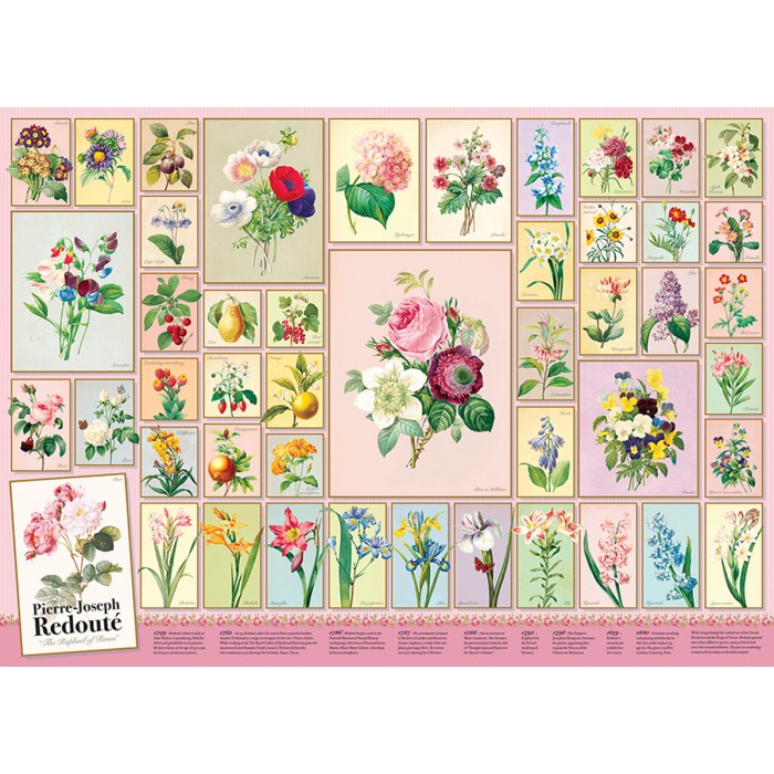 Puzzle Cobble-Hill-40099 Redoute