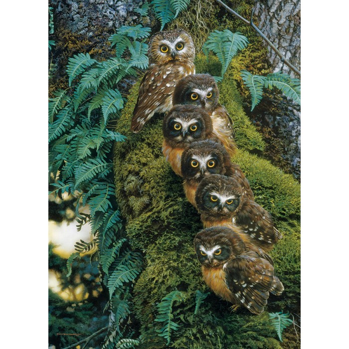 Puzzle  Cobble-Hill-40170 Family Tree