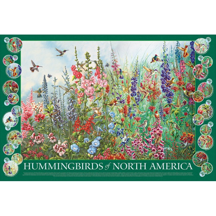 Puzzle  Cobble-Hill-49015 Colibris d'Amérique du Nord