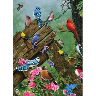 Puzzle Cobble-Hill-57190 Oiseaux de la Forêt