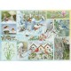 Oiseaux de Jardin en Hiver