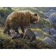 Robert Bateman : Le Grizzly et ses Oursons