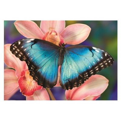 Puzzle Dino-50249 Butterfly