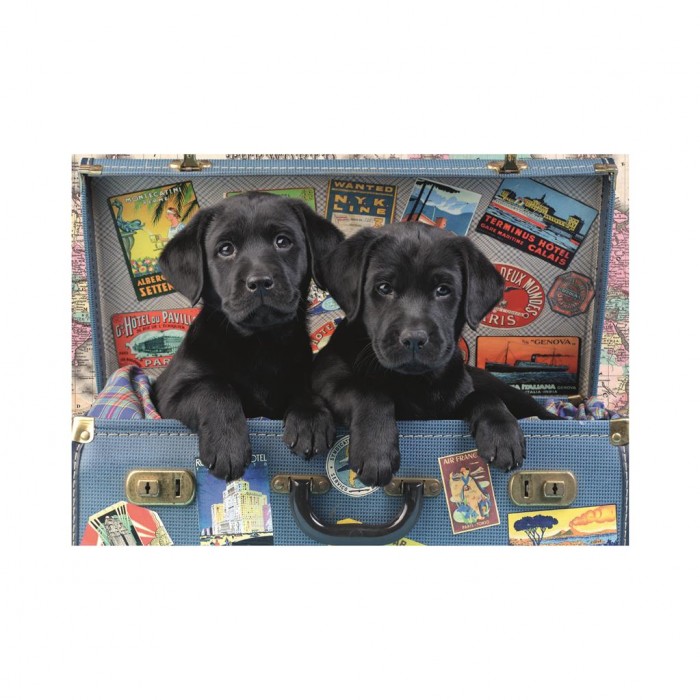 Puzzle Dino-50258 Chiots dans un Coffre