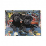 Puzzle  Dino-50258 Chiots dans un Coffre