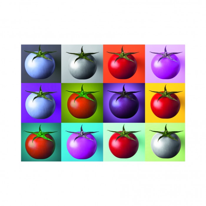 Puzzle  Dino-53296 Pop Art - Tomates