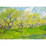 Puzzle  Enjoy-Puzzle-1179 Vincent Van Gogh : Verger en fleurs