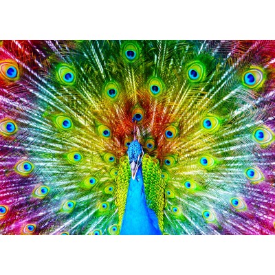 Puzzle Enjoy-Puzzle-1251 Colorful Peacock