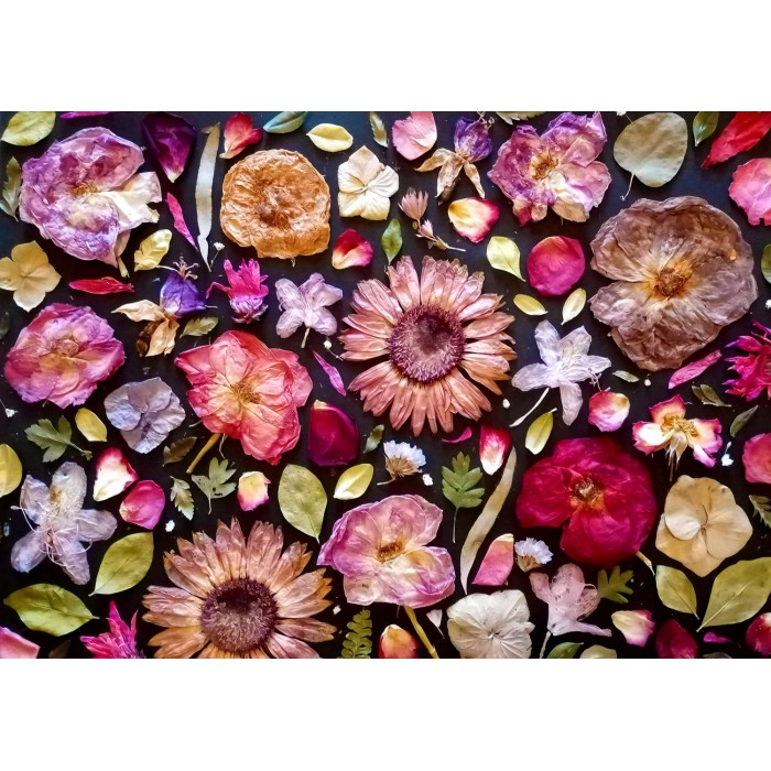 Puzzle  Enjoy-Puzzle-2042 Pensez Rose