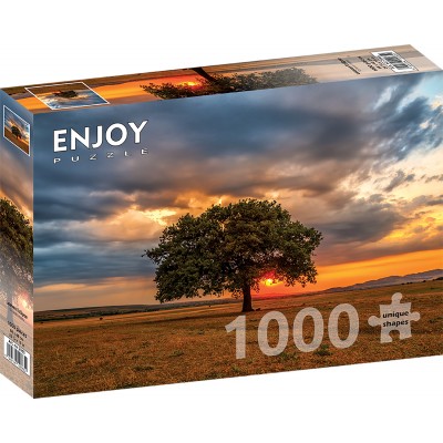Puzzle Enjoy-Puzzle-2065 Éclipse de Feuilles
