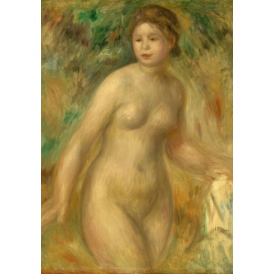 Puzzle Grafika-F-32869 Auguste Renoir : Nu, 1895
