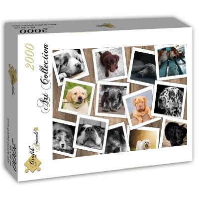 Puzzle Grafika-T-00378 Chiens