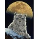 Schim Schimmel - Moon Leopard