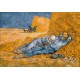 Van Gogh Vincent - La Sieste (d'après Millet), 1890