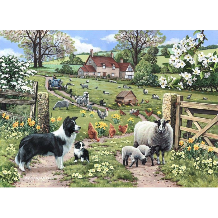 Puzzle  House-Of-Puzzles-HP0506 Apprentissage Précoce