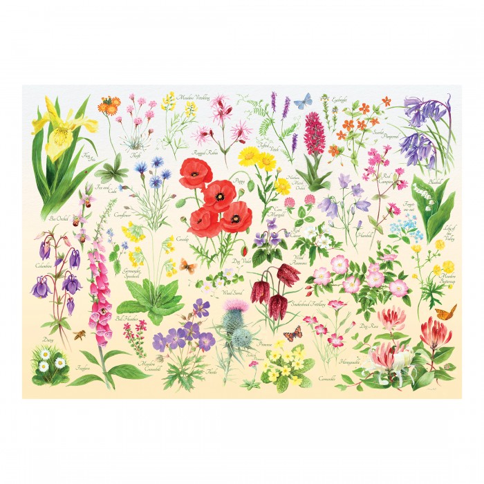 Puzzle  House-Of-Puzzles-HP0705 Wildflowers