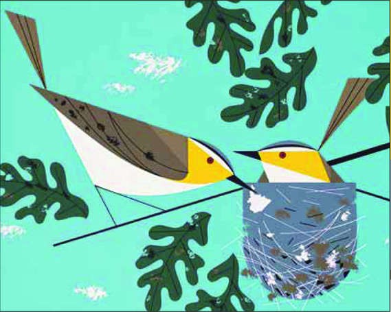 Charley Harper Vireos aux yeux rouges