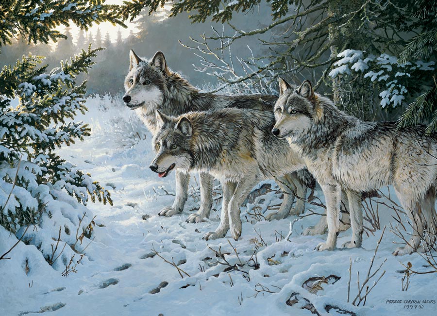 Persis Clayton Weirs Le Sentier des Loups