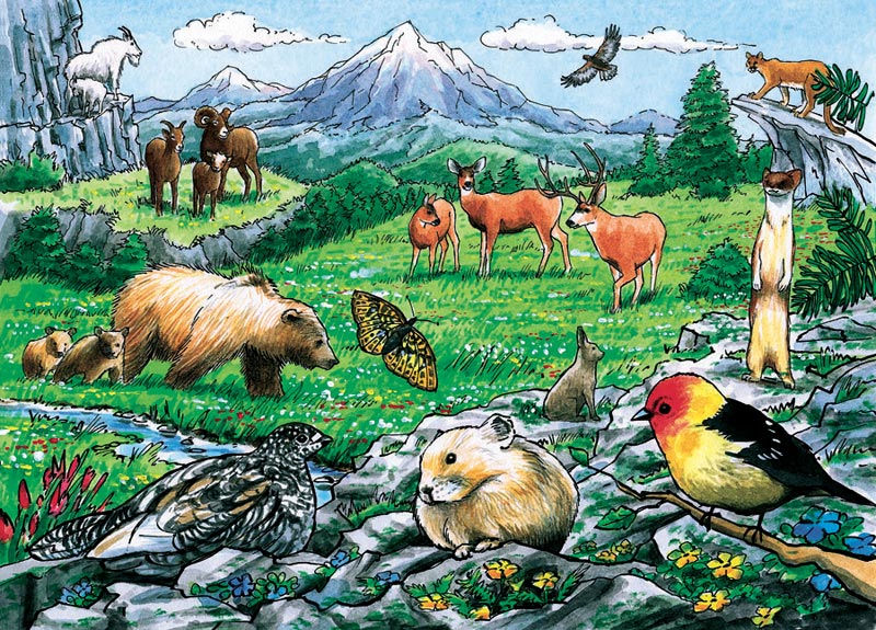 Puzzle Cadre Rocky Mountain Wildlife
