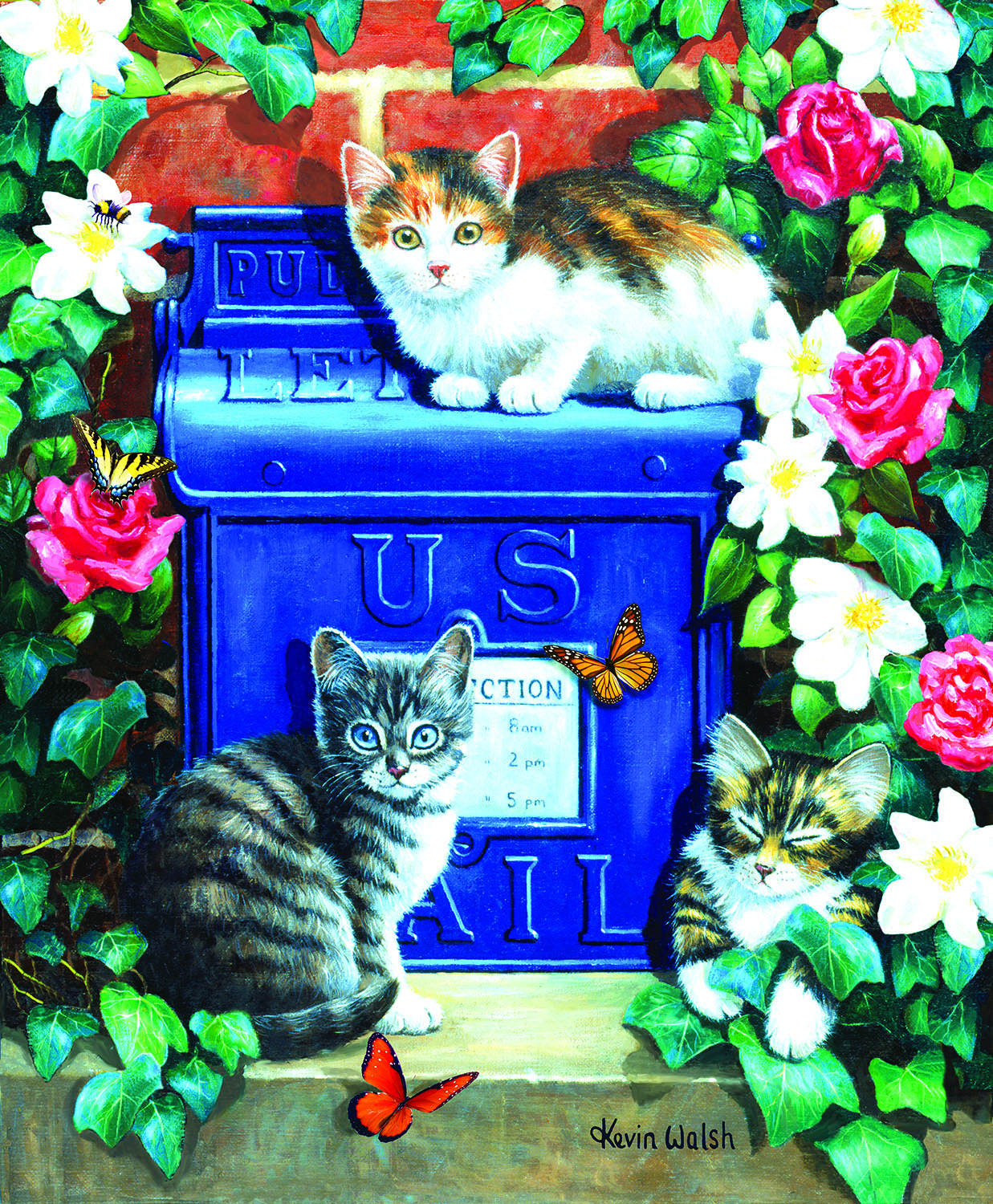 Mail Box Kittens