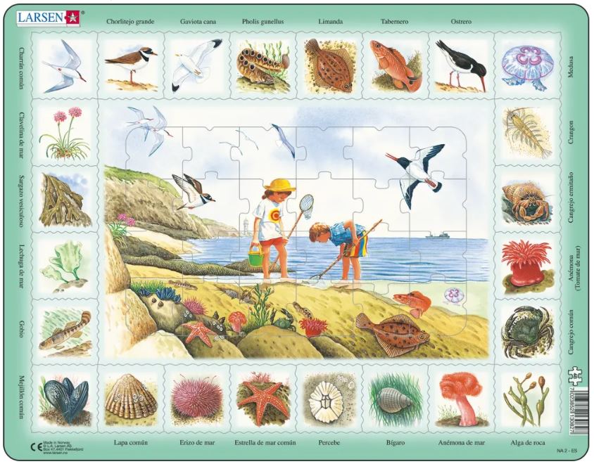 Puzzle Cadre - Puzzle Nature - Bord de Mer (Espagnol)