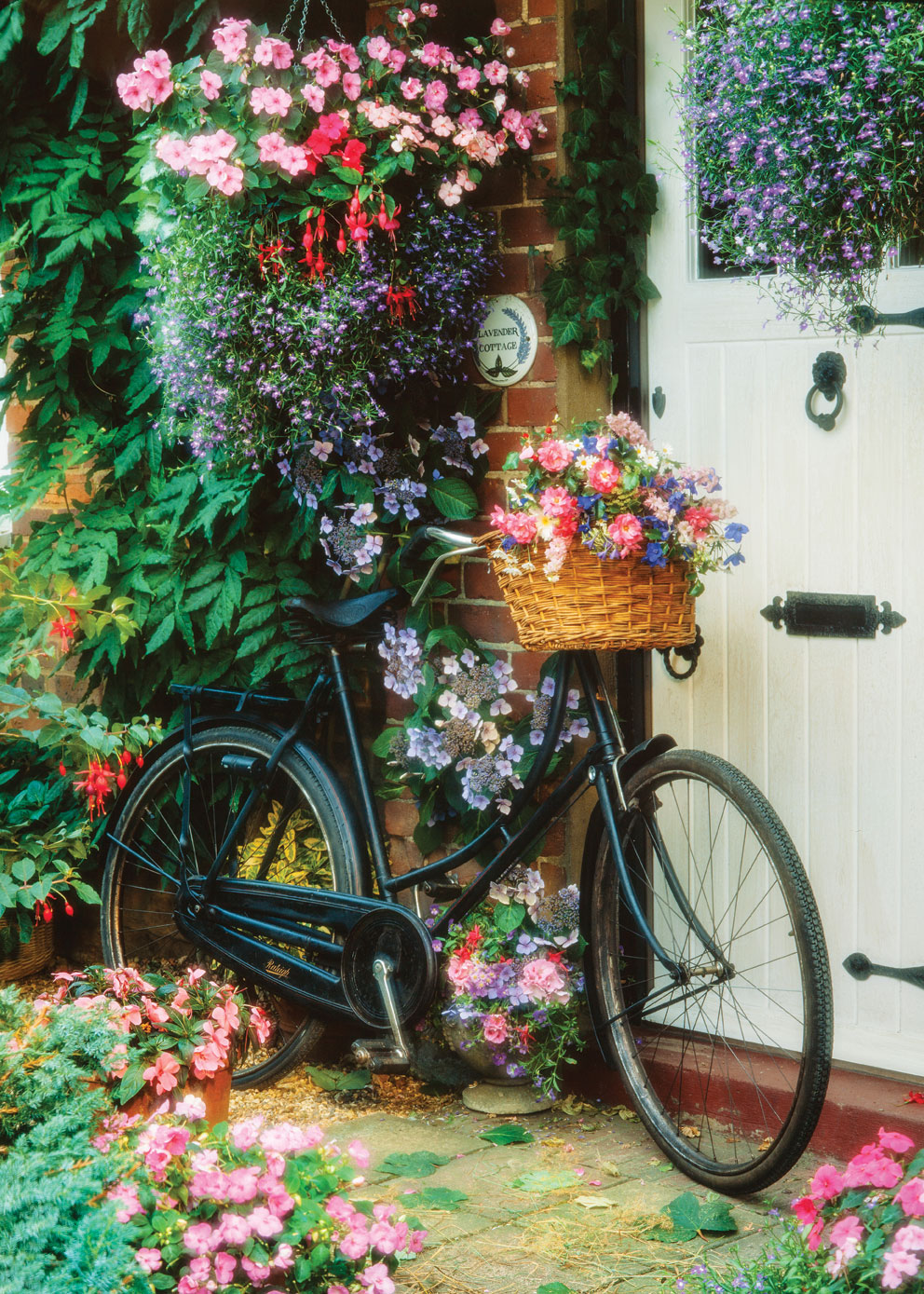 Vélo et Fleurs