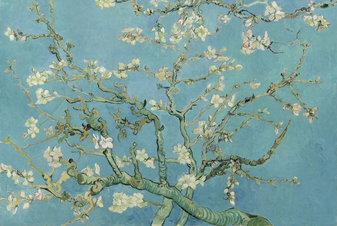 Vincent van Gogh Amandier en Fleurs 1890
