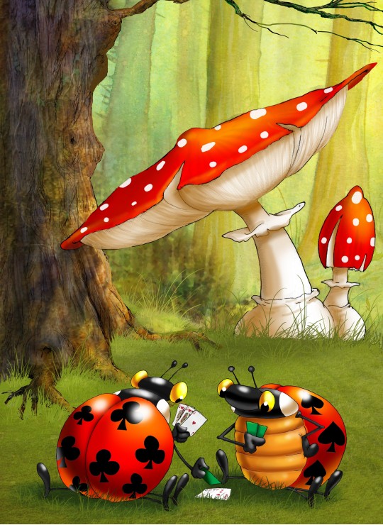 François Ruyer: Poker des Coccinelles. François Ruyer: Poker des Coccinelles 300 Pièces Grafika Kids