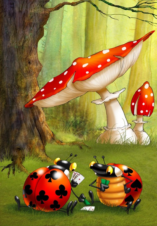 François Ruyer: Poker des Coccinelles. François Ruyer: Poker des Coccinelles 100 Pièces Grafika Kids