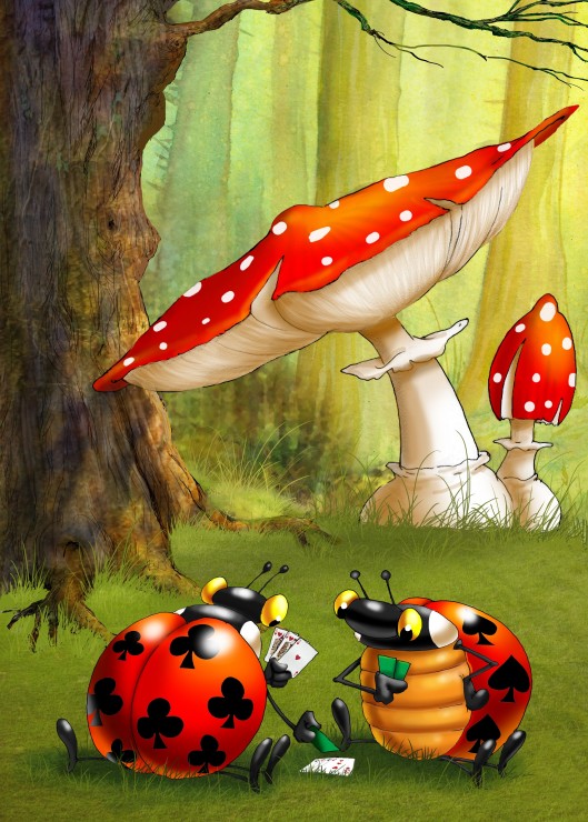 François Ruyer: Poker des Coccinelles. François Ruyer: Poker des Coccinelles 24 Pièces Grafika Kids