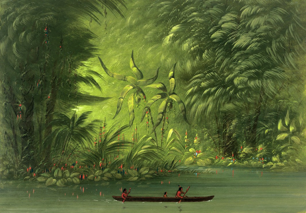 George Catlin : Entree dans une lagune, rive de l'Amazonie, 1854-1869