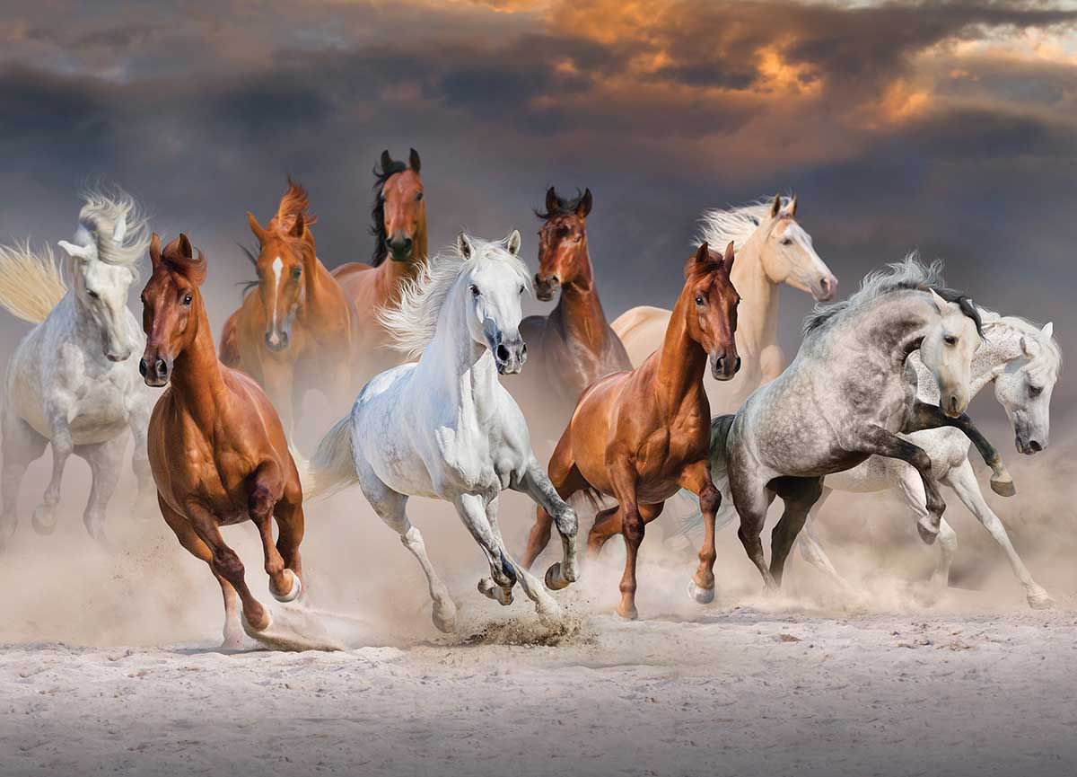 Desert Horses