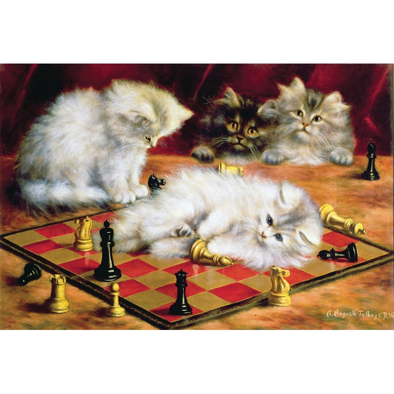 Talboys : Les chats a l'echiquier