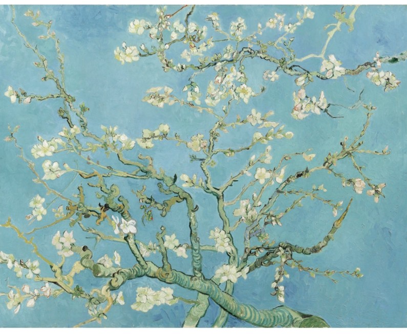 Puzzle en Bois - Van Gogh - Branches d'Amandier