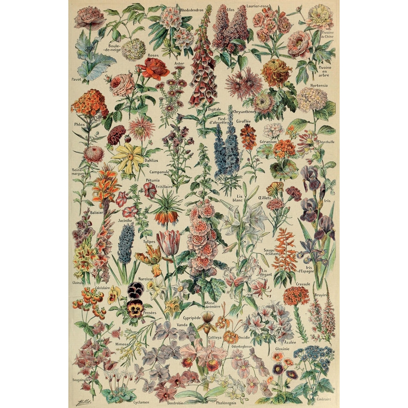 Puzzle en Bois - Adolphe Millot - Fleurs pour Tous