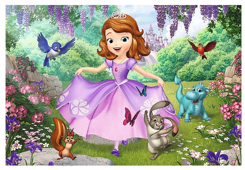 Color Puzzle - Sofia the First